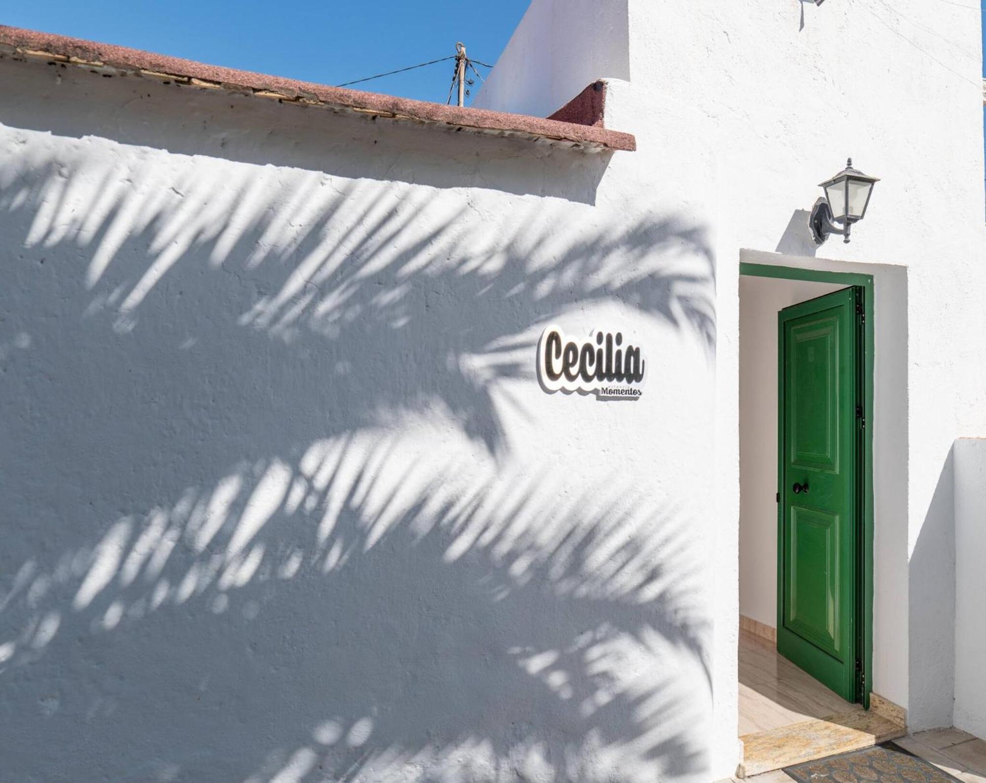 Cecilia Holiday home La Orotava